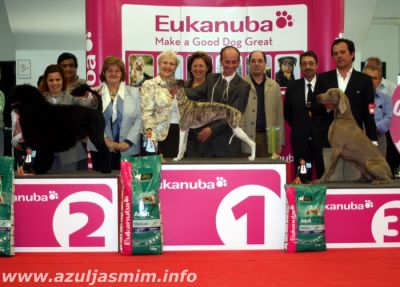 Costa Azul 2008 BIS 2
