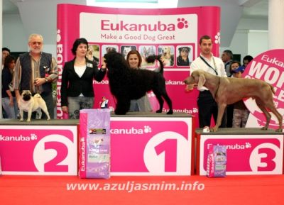Costa Azul 2008 Junior BIS