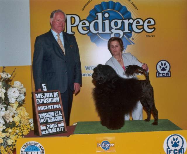 8 Julho 2005