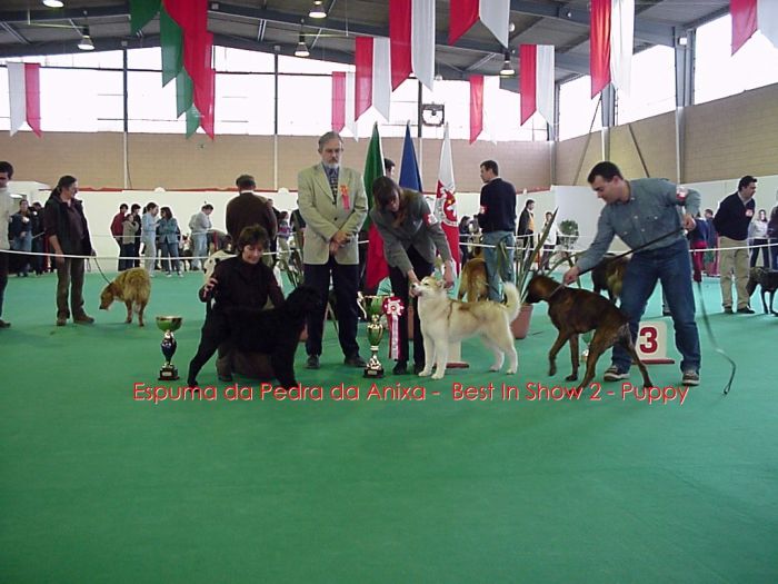9 Int. V. Franca de Xira - 17 de Fevereiro 2002 - R BIS