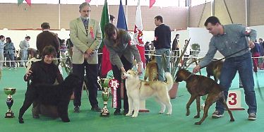 9 Int. V. Franca de Xira - 17 de Fevereiro 2002 - R BIS