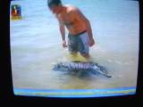 Gelo da Pedra da Anixa - TVI 10/Jul/2003