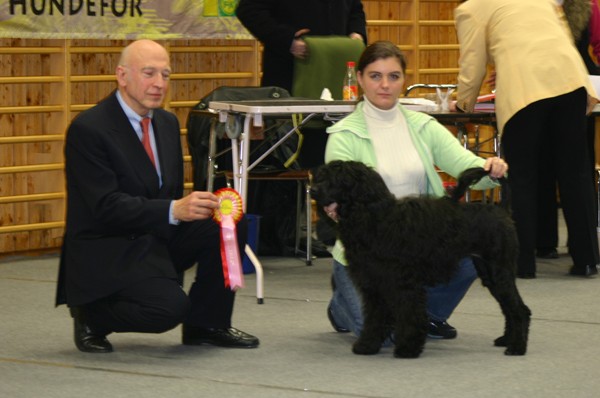 11 Fevereiro - 2007 Noruega Kaysea BOB BOG5 - Cachorros