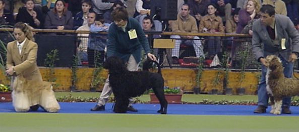 Caceres - 25/Nov/2001